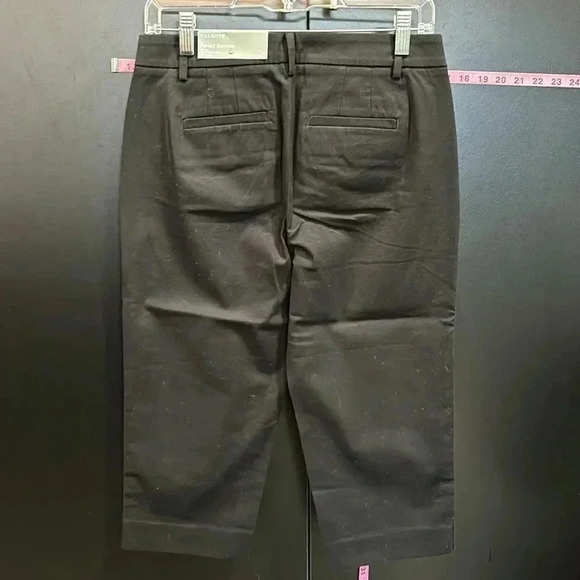 Talbots Perfect Skimmer slim leg,pedal pusher length,cropped pants - Picture 3 of 9